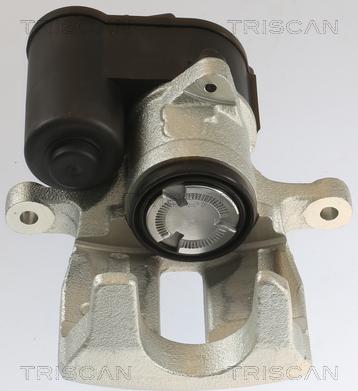 Triscan 8175 29231 - Pinza freno autozon.pro