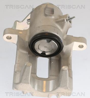 Triscan 8175 29225 - Pinza freno autozon.pro