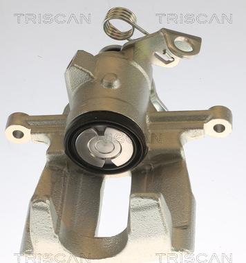 Triscan 8175 29220 - Pinza freno autozon.pro