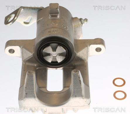 Triscan 8175 29221 - Pinza freno autozon.pro