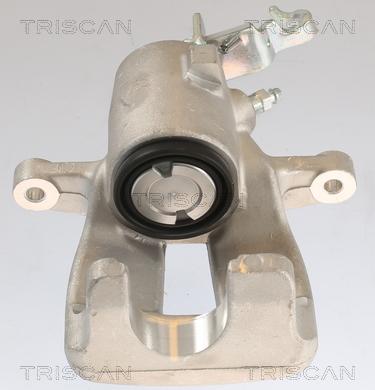 Triscan 8175 29228 - Pinza freno autozon.pro