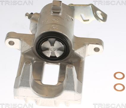 Triscan 8175 29222 - Pinza freno autozon.pro