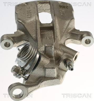 Triscan 8175 29274 - Pinza freno autozon.pro