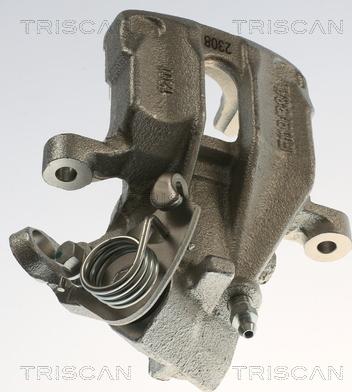 Triscan 8175 29271 - Pinza freno autozon.pro