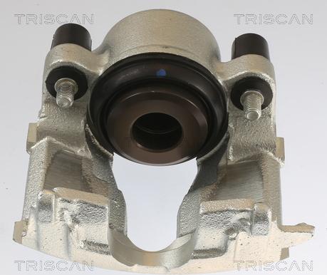 Triscan 8175 24101 - Pinza freno autozon.pro