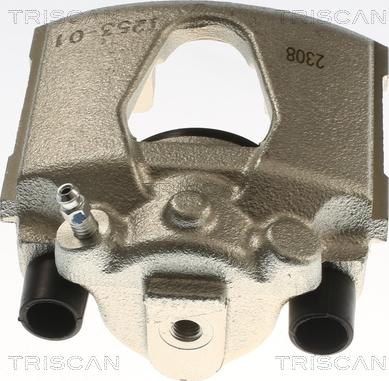 Triscan 8175 24107 - Pinza freno autozon.pro