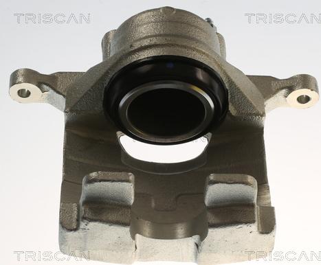 Triscan 8175 24122 - Pinza freno autozon.pro