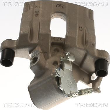 Triscan 8175 24249 - Pinza freno autozon.pro