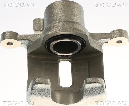 Triscan 8175 24248 - Pinza freno autozon.pro