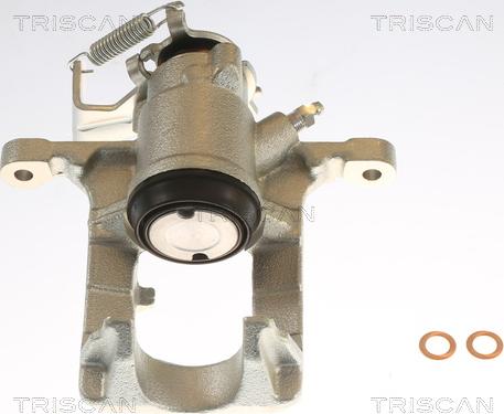 Triscan 8175 24209 - Pinza freno autozon.pro