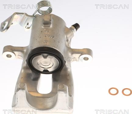 Triscan 8175 24205 - Pinza freno autozon.pro