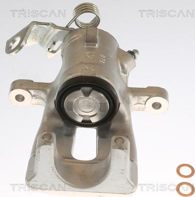 Triscan 8175 24201 - Pinza freno autozon.pro