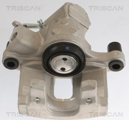 Triscan 8175 24208 - Pinza freno autozon.pro