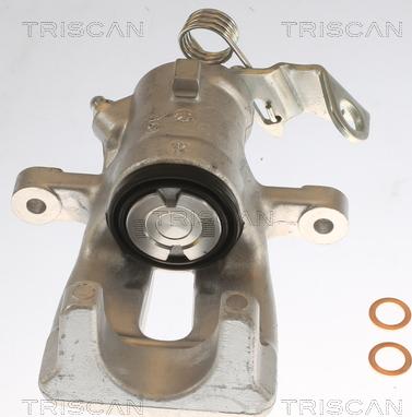 Triscan 8175 24202 - Pinza freno autozon.pro