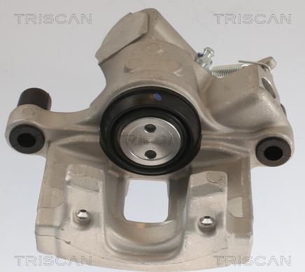 Triscan 8175 24207 - Pinza freno autozon.pro