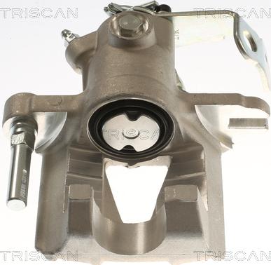 Triscan 8175 24218 - Pinza freno autozon.pro