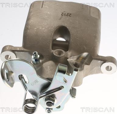 Triscan 8175 24236 - Pinza freno autozon.pro