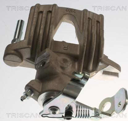 Triscan 8175 24220 - Pinza freno autozon.pro