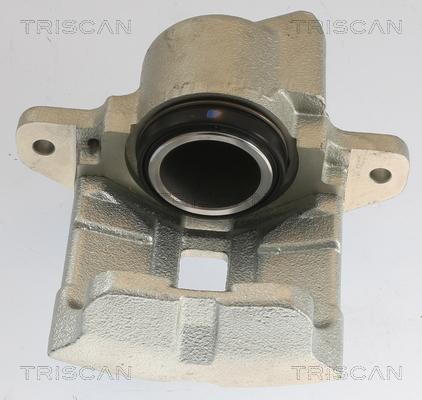 Triscan 8175 25101 - Pinza freno autozon.pro