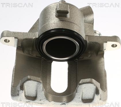 Triscan 8175 25110 - Pinza freno autozon.pro