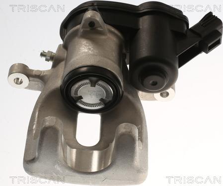 Triscan 8175 25222 - Pinza freno autozon.pro