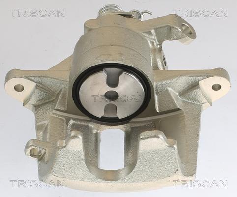 Triscan 8175 28102 - Pinza freno autozon.pro