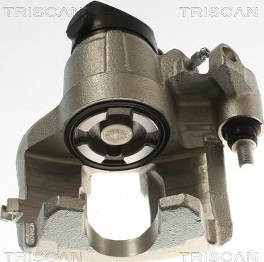 Triscan 8175 28112 - Pinza freno autozon.pro