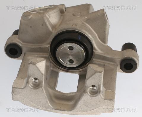 Triscan 8175 28209 - Pinza freno autozon.pro