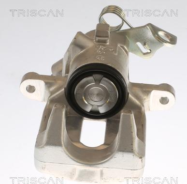 Triscan 8175 28202 - Pinza freno autozon.pro