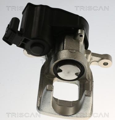 Triscan 8175 28234 - Pinza freno autozon.pro