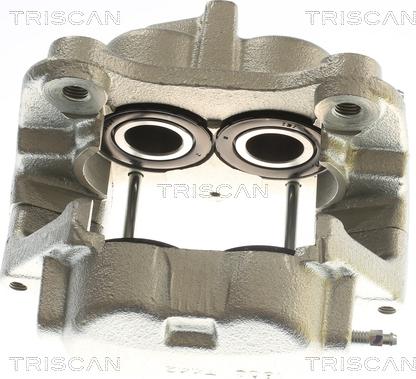 Triscan 8175 23123 - Pinza freno autozon.pro