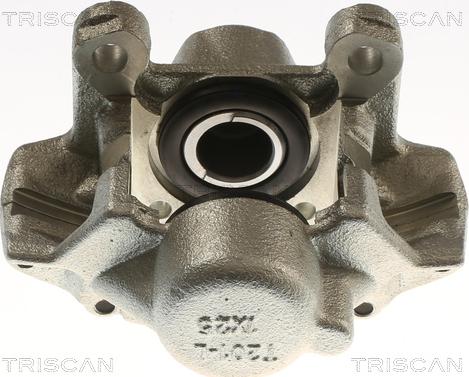 Triscan 8175 23219 - Pinza freno autozon.pro