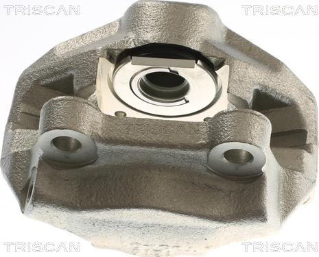 Triscan 8175 23213 - Pinza freno autozon.pro