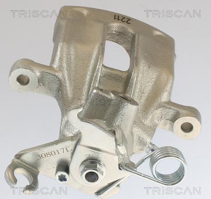 Triscan 8175 27203 - Pinza freno autozon.pro