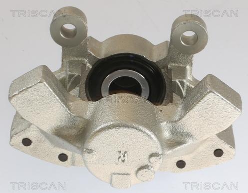 Triscan 8175 27202 - Pinza freno autozon.pro