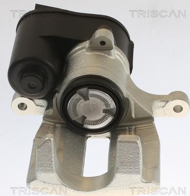 Triscan 8175 27210 - Pinza freno autozon.pro