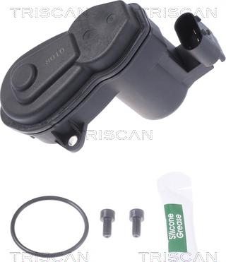 Triscan 8170 208010 - Regolatore, Pinza freno stazionamento autozon.pro