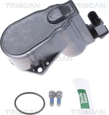 Triscan 8170 208018 - Regolatore, Pinza freno stazionamento autozon.pro