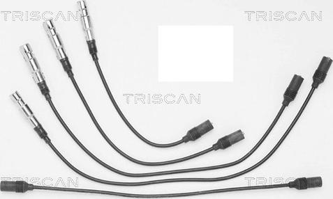 Triscan 8860 4100 - Kit cavi accensione autozon.pro