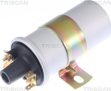 Triscan 8860 10038 - Bobina d'accensione autozon.pro