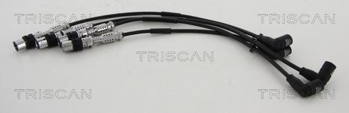 Triscan 8860 29031 - Kit cavi accensione autozon.pro