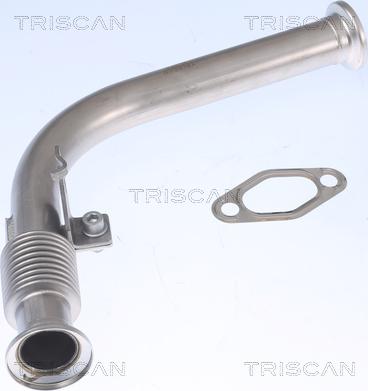 Triscan 8811 23000 - Condotto, Valvola-AGR autozon.pro