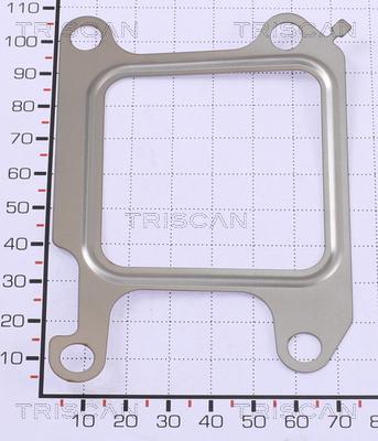 Triscan 8813 99144 - Guarnizione autozon.pro