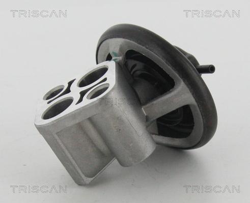 Triscan 8813 43007 - Valvola ricircolo gas scarico-EGR autozon.pro