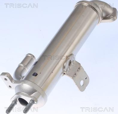 Triscan 8813 43102 - Radiatore, Ricircolo gas scarico autozon.pro