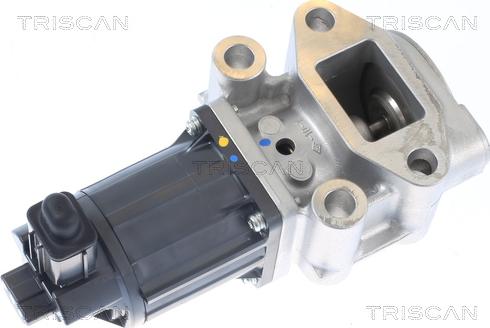 Triscan 8813 42001 - Valvola ricircolo gas scarico-EGR autozon.pro