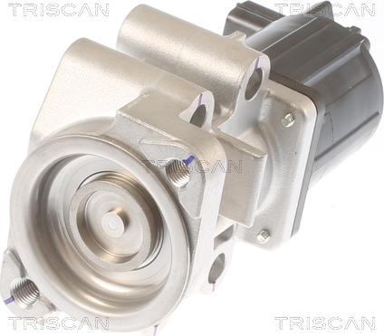 Triscan 8813 42001 - Valvola ricircolo gas scarico-EGR autozon.pro