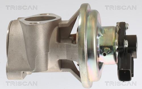 Triscan 8813 42003 - Valvola ricircolo gas scarico-EGR autozon.pro