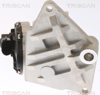 Triscan 8813 42002 - Valvola ricircolo gas scarico-EGR autozon.pro