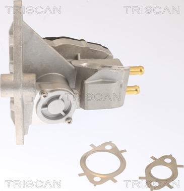 Triscan 8813 42002 - Valvola ricircolo gas scarico-EGR autozon.pro